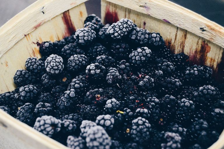 Tips&Tricks: It Always Comes Handy To Freeze Berries For Later Use