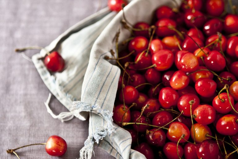 Quote of the day #31