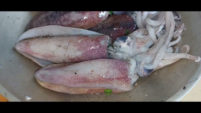 Seafood Recipes  HAPPY FIESTA