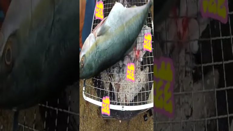 Grilled Seafood Recipes #Shorts