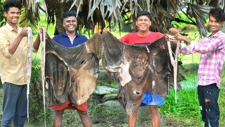 BEEF Intestine Boti Recipe | Cleaning & Cooking Skill | Yummy Beef Boti Fry
