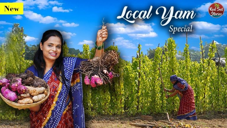 “Local Yam” | कंदमुळे | Traditional Recipes | Village Cooking Maharashtra | Red Soil Stories
