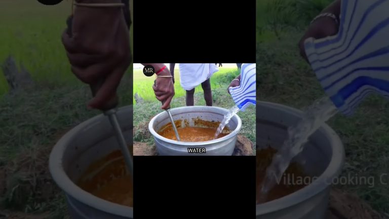 KING of GARFISH Recipe | Grandpa Cooking Garfish Recipe | Seafood Recipes | Fish Curry Village Food.