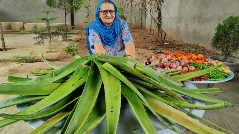 ALOE VERA COOKING | HEALTHY RECIPE | ALOE VERA REIPE | VEG VILLAGE FOOD