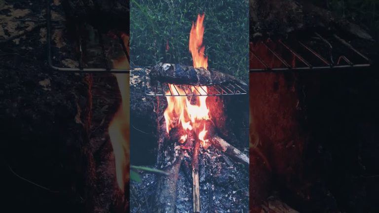 in the woods … fish grilled @Seafood Recipes By Bayman