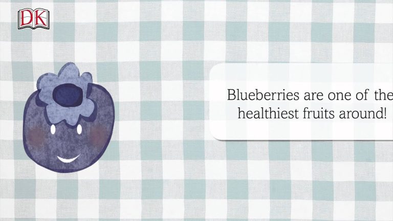 Fruit Smoothie Recipes: Strawberry Blueberry Smoothie