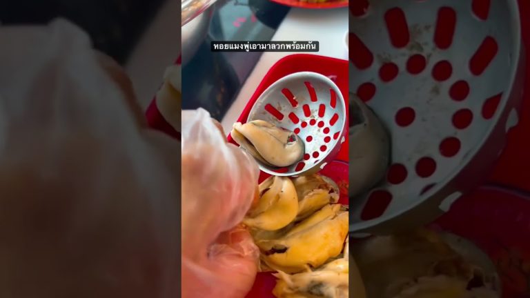 กินซีฟู้ดที่ตี๋น้อย อย่างถูกวิธี (เหมือนกินมหาสมุทรในถ้วยเดียว) #เมนูทําง่าย #สุกี้ตี๋น้อย #อร่อย