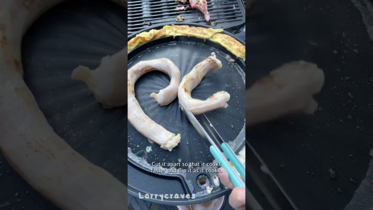 I found cow's intestines in my freezer – Freezer Finds Pt 2