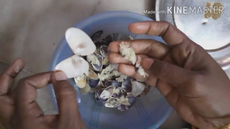 seafood recipes  MATTI VARUVAL