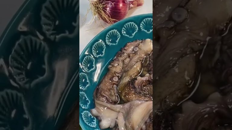 THE INGREDIENTS TO MAKE THE BEST OCTOPUS IN THE WORLD? #shorts #gabrielalibanio  #octopus