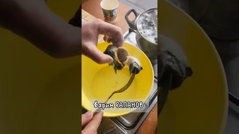 Декабрь, Геленджик. Температура воды +14 градусов. #черноеморе #рапаны #геленджик #путешествия