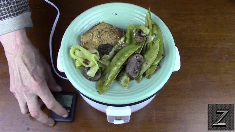How to cook pork chops in a rice cooker