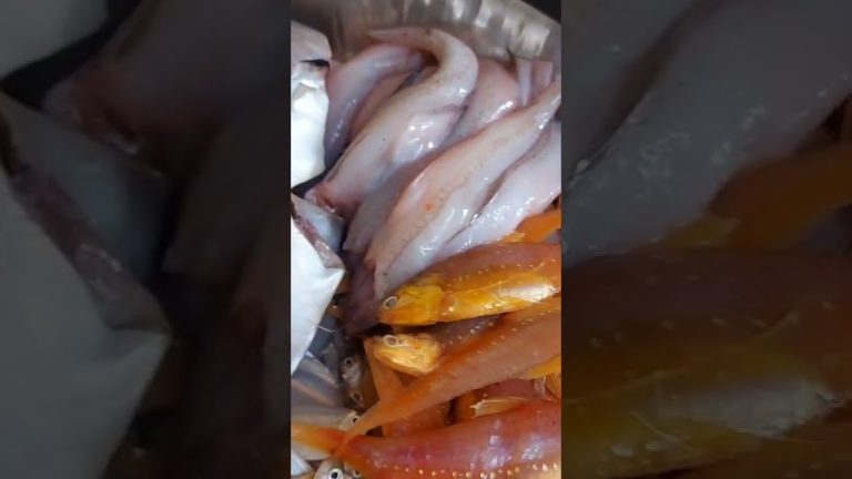 Seafood | Seafood recipes coming soon @AsmaDhanshe's Kitchen