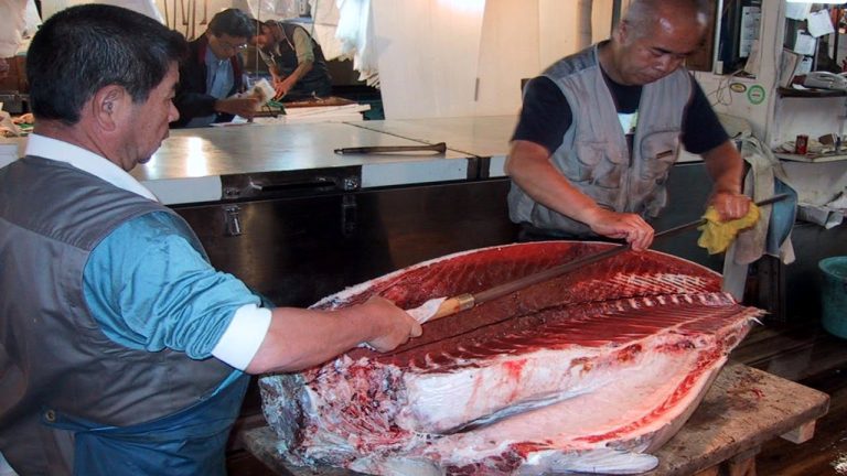 AMAZING TOP 20 FISH RECIPES | SEAFOOD STREET FOODS | 20 SEAFOOD RECIPES