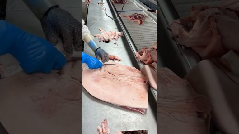 The best part of Pork @juemcookingofficial #shorts