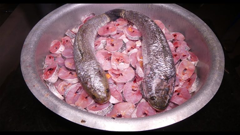 500 SEA FOODS IN INDIA-PART 1 | Fish & Seafood Recipes Collection