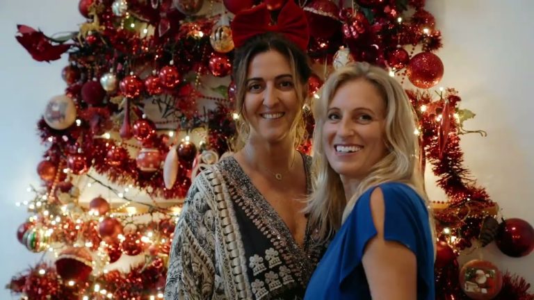 Vegan Christmas Feast (Tapas, Dinner and Dessert recipes)