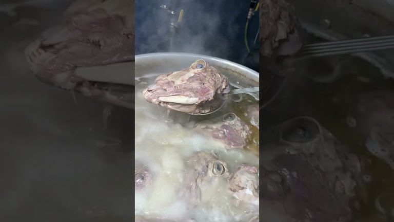 KELLE PAÇANIN KELLESİ Çorbahan destekleri ile ücretsiz ortalık