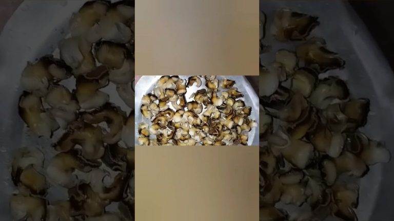 Cooking Sea Food #Sea foods #cooking recipes  #cooking videos# #Shorts