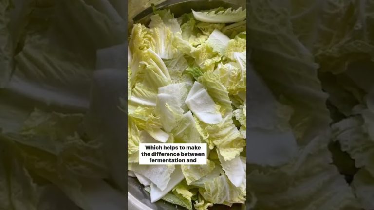 The Science of Kimchi #Shorts