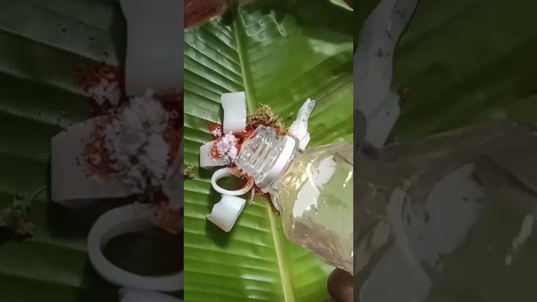 kanthari squid fry 🥵/seafood recipe 🦑 #like #share #support #short #shortvideo #subscribe