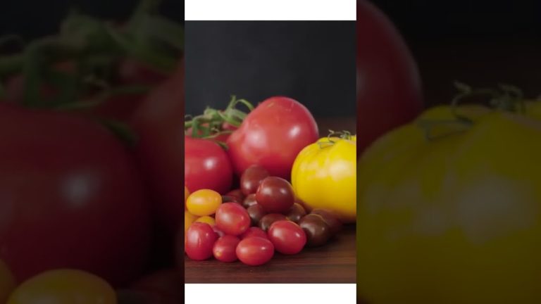 The Many Varieties of Tomatoes #Shorts