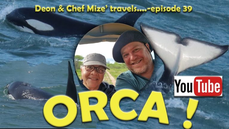 Orca, New Zealand & Seafood Pasta recipe.
