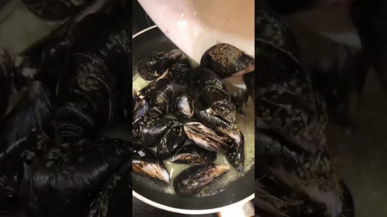 Pasta with Mussels in White Wine Butter Sauce and Mozzarella Cheese 🧀🍶🤗