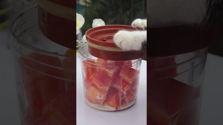 Simple papaya smoothie is very good for health!😋( ASMR) | #tiktok#shorts #cat#pet#papaya #smoothie