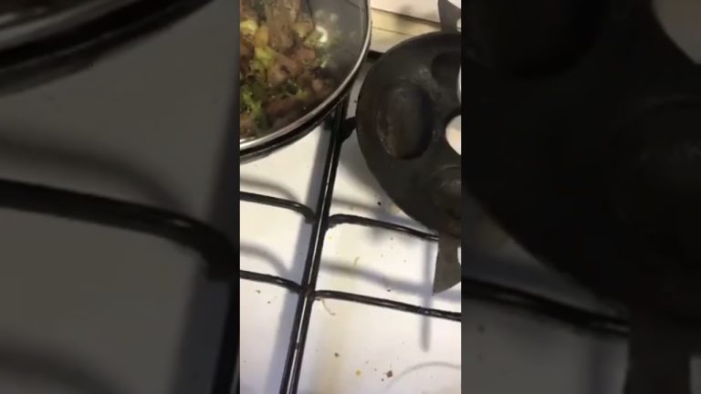 new #shorts #viralshorts #trending #recipes #cooking #streetfood