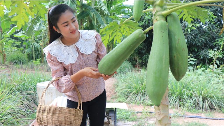 Yummy papaya cooking with pork ribs recipe / Pick papaya for cooking / Cooking with Sreypov