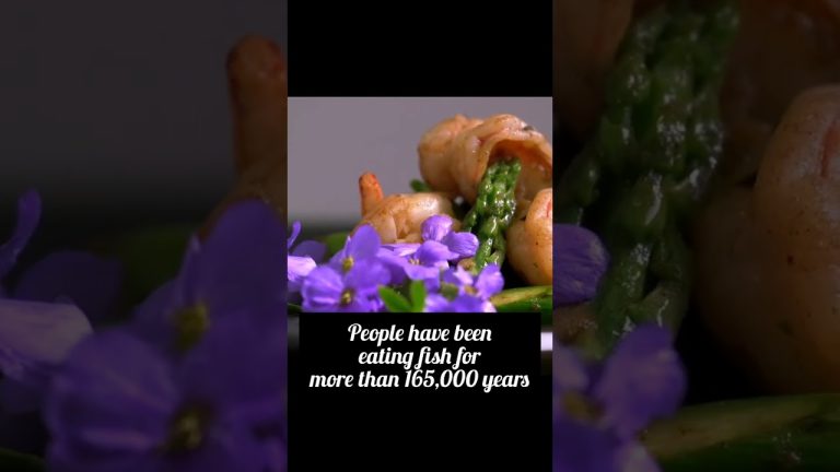 5 Tasty Facts About Seafood|Story Corner