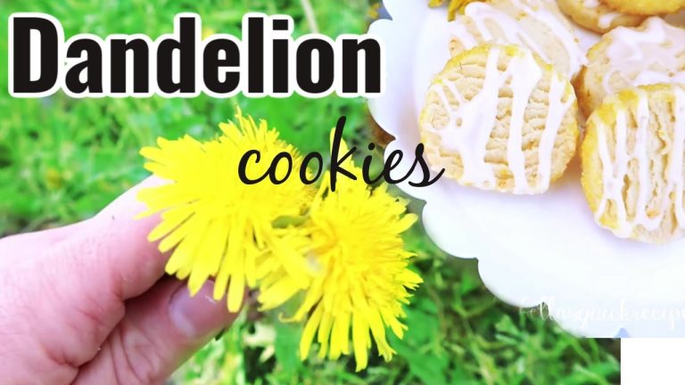 DANDELION FLOWER COOKIES ☮❤🌈 Quick & Easy Dessert Recipes