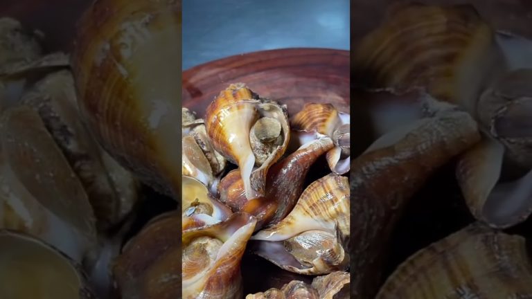 Grilled fresh water snail with good recipe #shorts #cooking