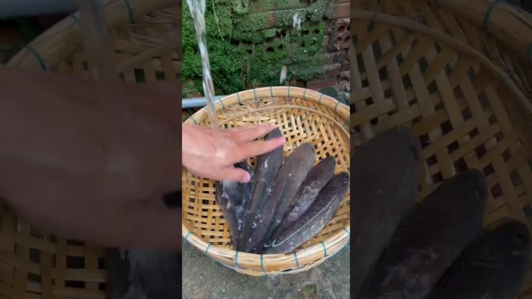 Cùng Nhọn Ăn Cá Lóc Đồng Chiên Giòn Chấm Nước Mắm Me Nha #shorts #tiktok #phucnhon #phucnhonvlog