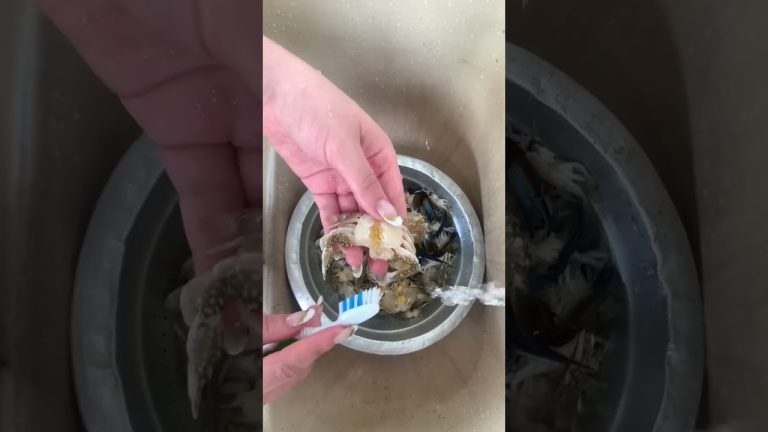 Siri Empanado 🦀 #siri #praia #caranguejo #petiscos