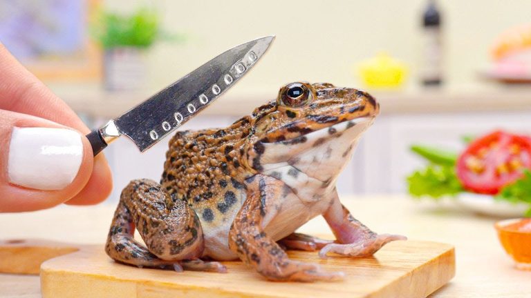 Yummy Miniature Frog Recipe | Delicious Miniature Sweet and Sour Frog Tutorial | Tiny Cooking ASMR