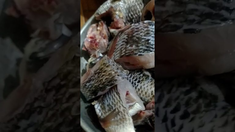 fish….#youtubeshorts #recipe #viral