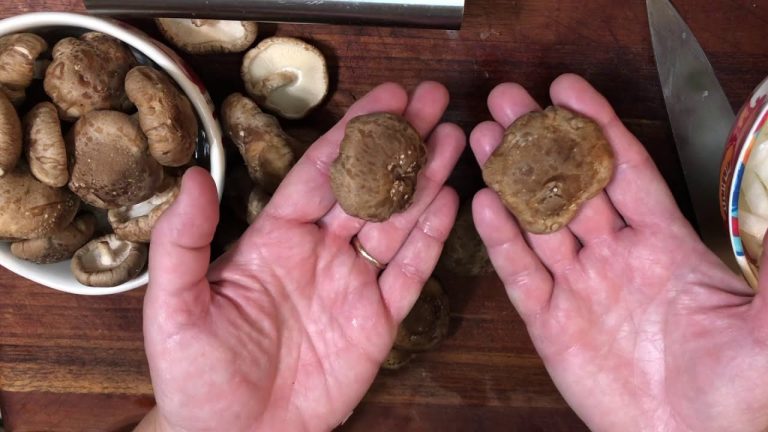 Shiitake Mushroom Pasta