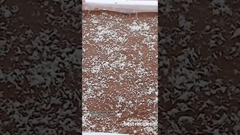 Cherry ripe slice | #shorts #dessert #cherryripe #chocolate #recipe #easy #candy #baking #sweet