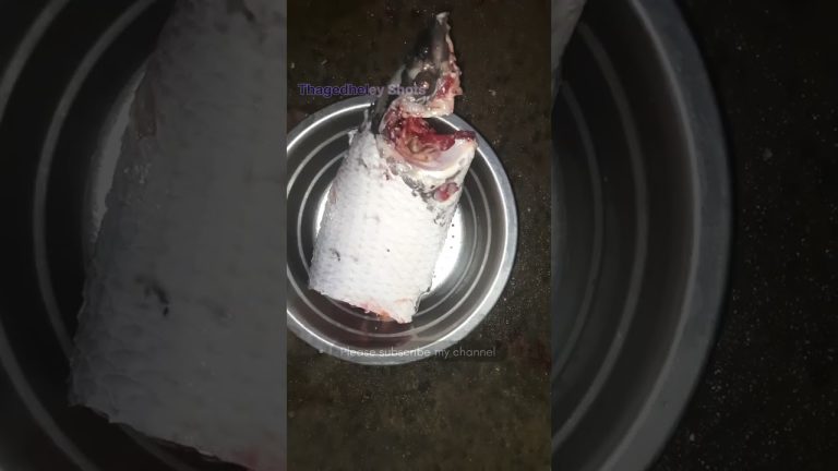 విజయవాడ చేపల విషయం #ThagedheleyShots #shorts @ThagedheleyShots