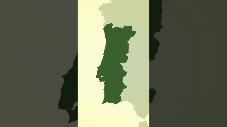 Here's the story of one of Portugal's last sardine canneries. #InsiderBusiness #fish #Portugal