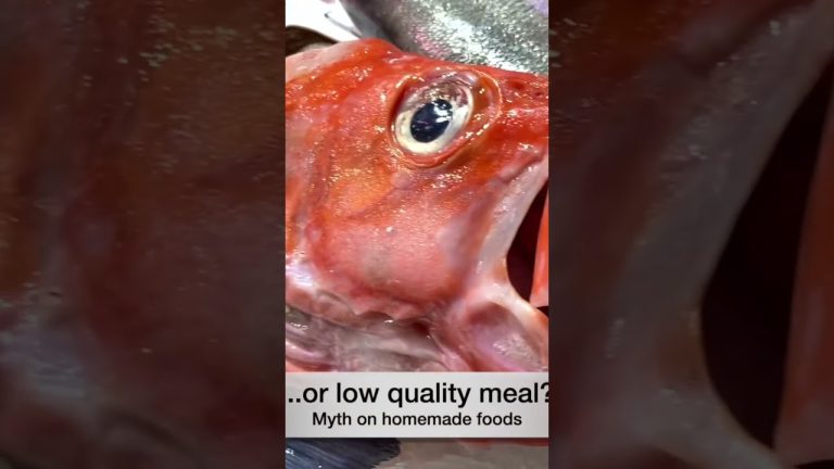 #shorts #homemade #food #myths #turkishfood