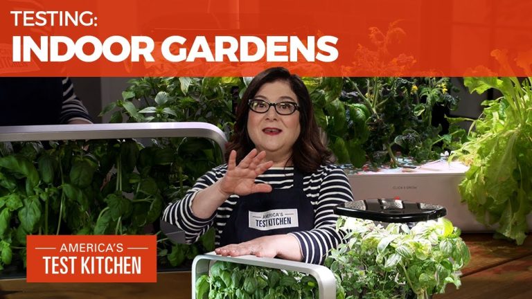 Kitchen Gadget Expert’s Top Pick for Indoor Gardens