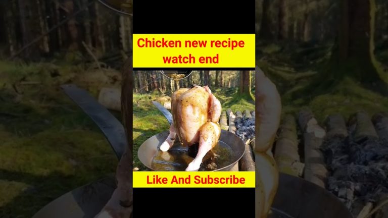 Wild different chicken cooking recipes short.