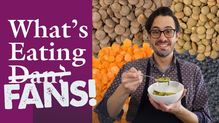 How Do You Check Lentils for Stones? and More Questions | What’s Eating Dan