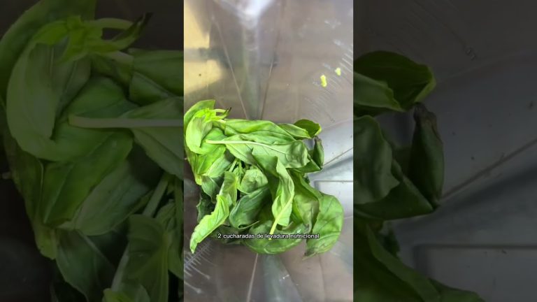 la pasta al pesto más rica y nutritiva en menos de 10 minutos #vegan #shorts