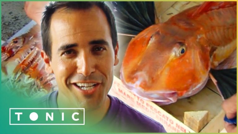Delicious Italian Seafood Recipes | David Rocco's Dolce Vita | Tonic