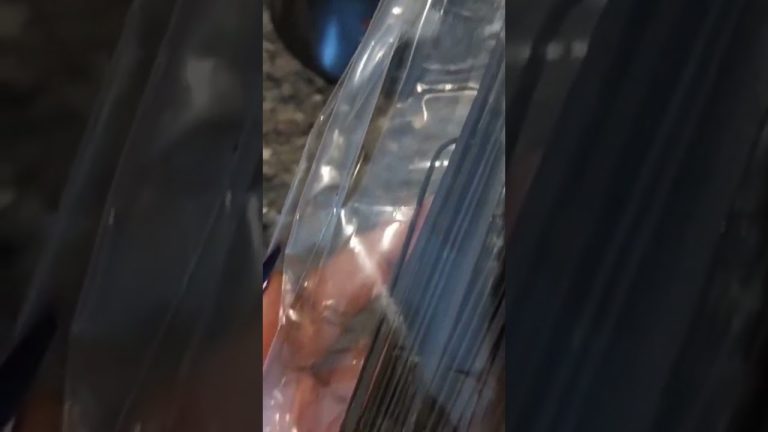 Black Squid Ink Pasta Recipe| Sunday Brunch Series| @carterseat #shorts