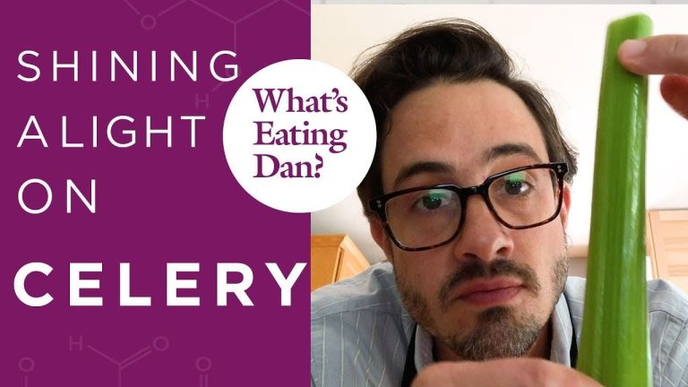 Why Celery Isn’t Negative Calories | What’s Eating Dan?